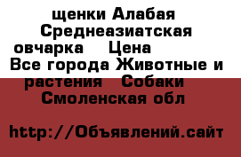 щенки Алабая (Среднеазиатская овчарка) › Цена ­ 15 000 - Все города Животные и растения » Собаки   . Смоленская обл.